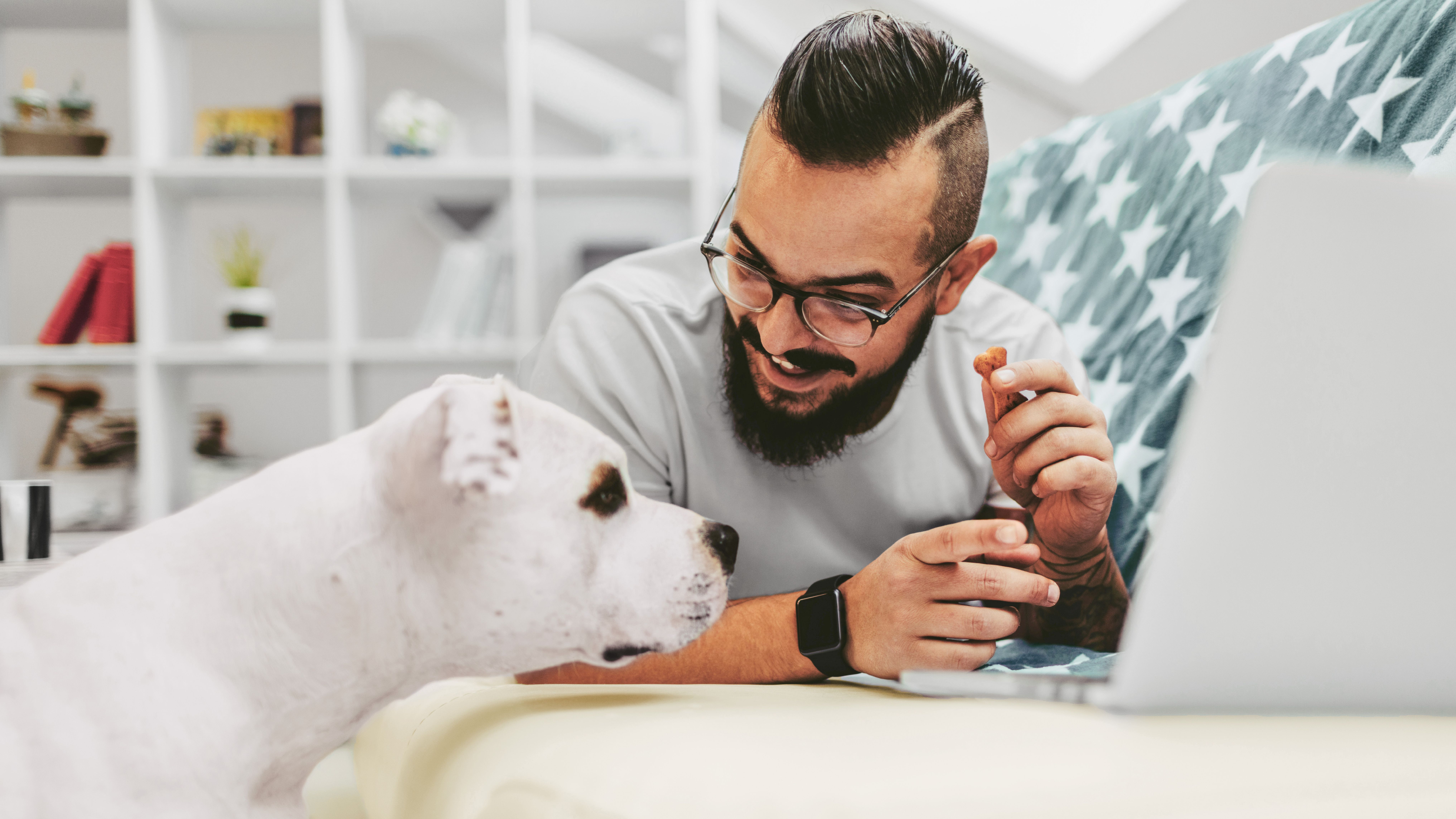 Ein Mann surft im Internet und sein Hund schaut zu.