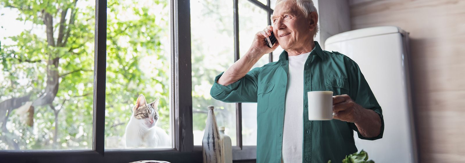 Herr telefoniert mit seinem Festnetztelefon von Green