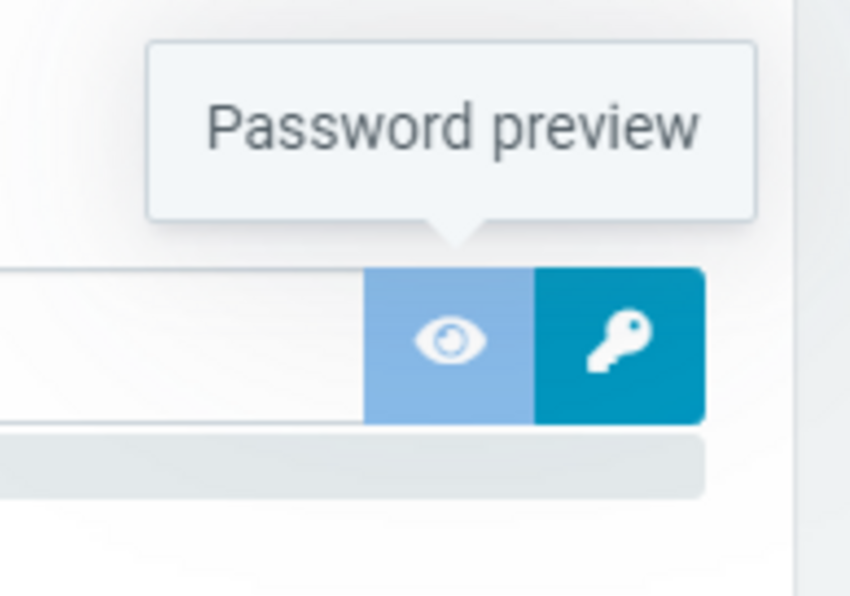 Web & Mail Control Panel - Password preview